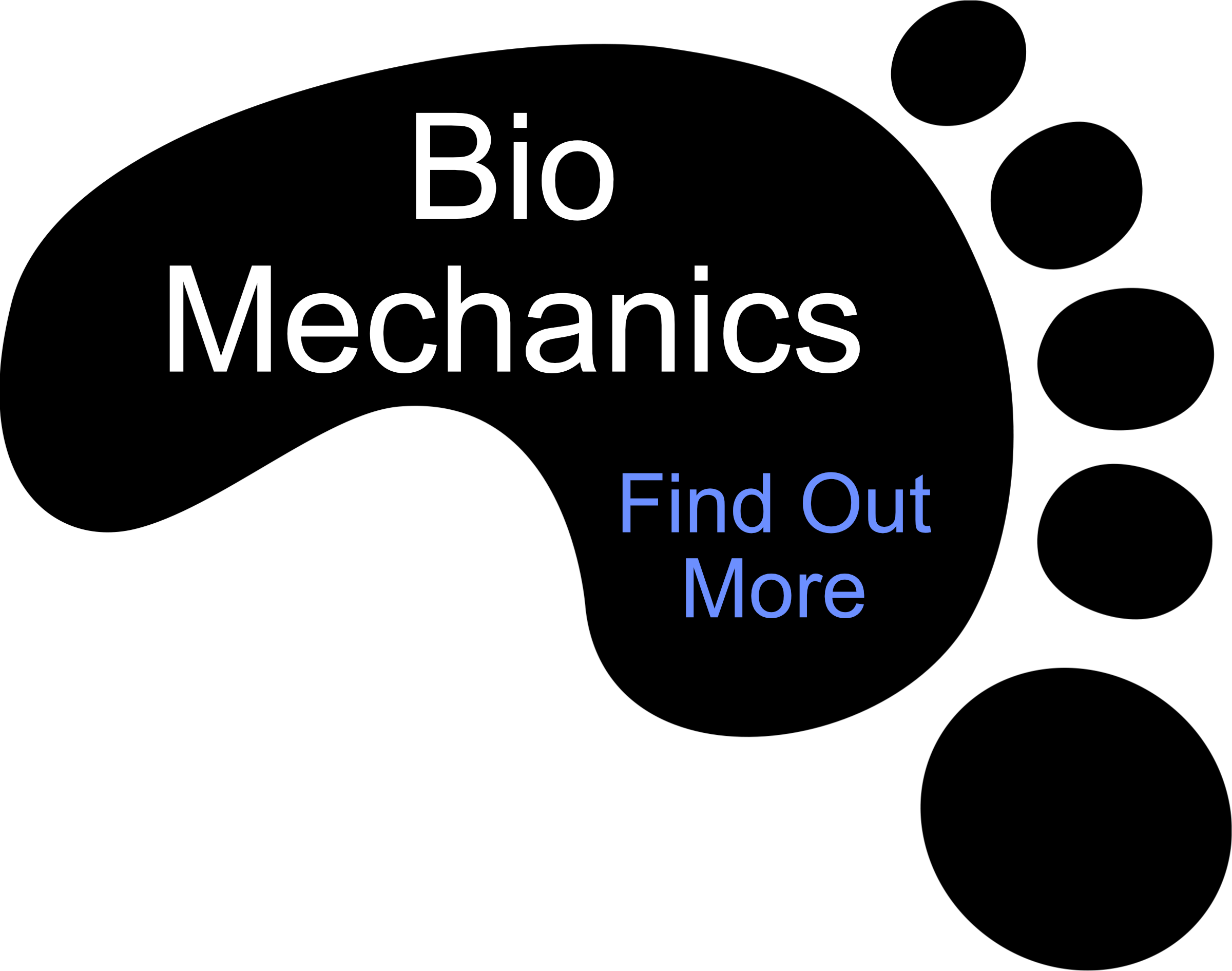 bio mechanics image